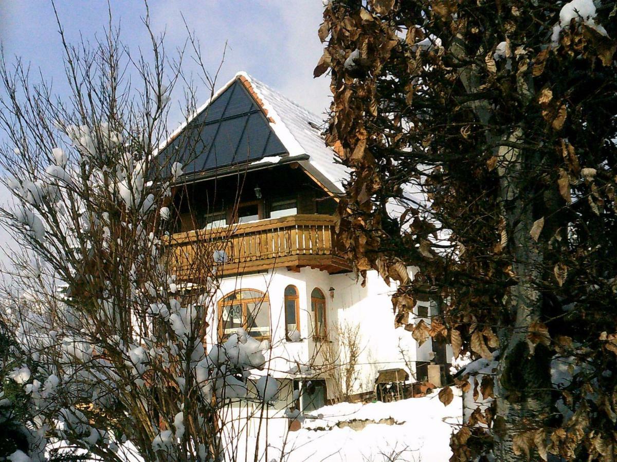 Ferienwohnung Haus Barbara Bräunlingen Buitenkant foto